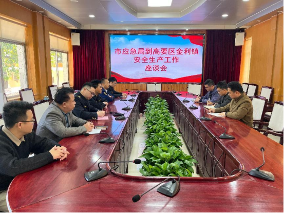 市安委办主要领导深入高要区金利镇开展安全生产和消防安全大排查