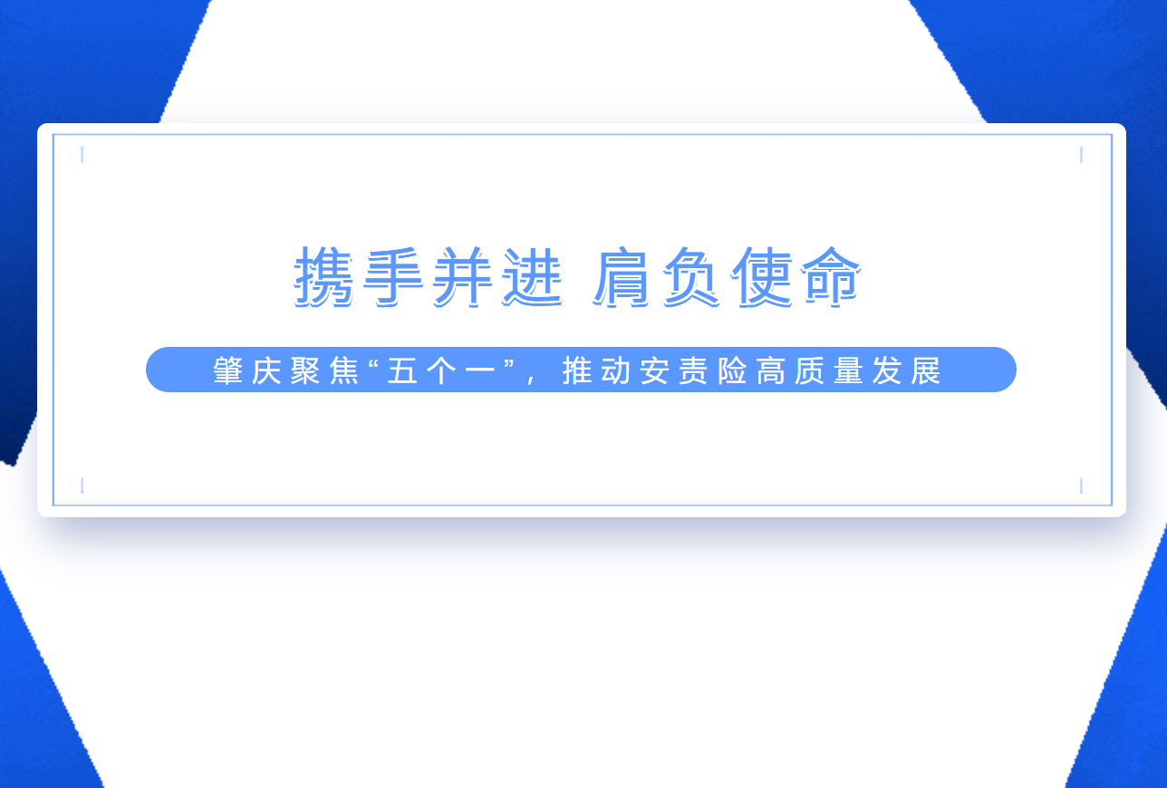 智慧平台+专业运营 助力肇庆市安责险工作提质增效